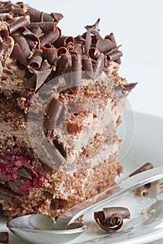 Dark chocolate cake closeup