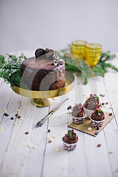 Dark chocolate cake with cookies and cupcakes berries on white wooden background