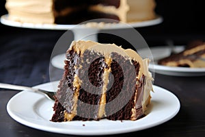 dark chocolate cake with peanut butter frosting