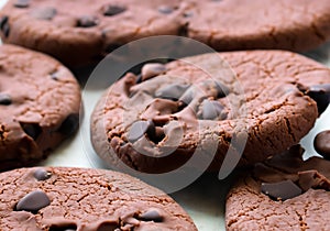 Dark chocolate cookie