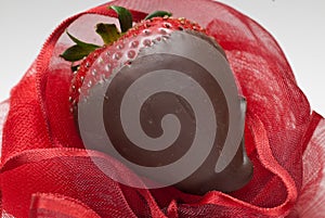 Dark Chocolate Covered Strawberry