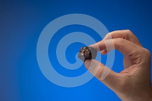 Dark chocolate praline, truffle, or candy held in hand by a Caucasian male. Close up studio shot, isolated on blue background