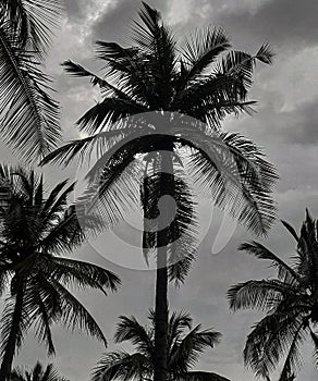 Dark Clouds In India