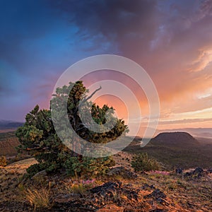 Dark clouds indicate the advance of tropical storm. Last light after a storm near Death Valley in California. Beautiful desert lan