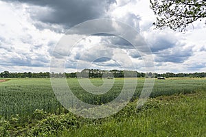 Dark clouds over a cornfield near Borger, Netherlands photo