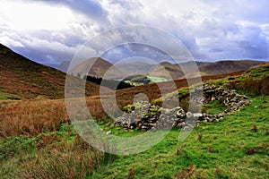 Sheepfold ruins below Darling Fell