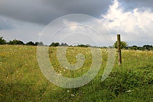 Dark clouds over a meadow