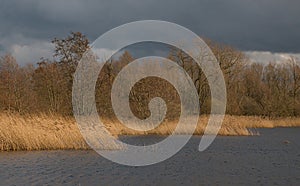 dark clouds over a winter marshland in the flemish countryside