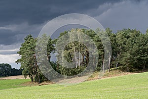 Dark clouds over woods landscape