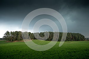 Dark clouds over woods landscape