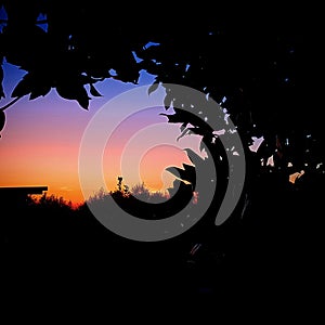 A dark not so dark sunset