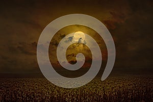 Dark dramatic mystical image with glowing full moon rises above field of sunflowers