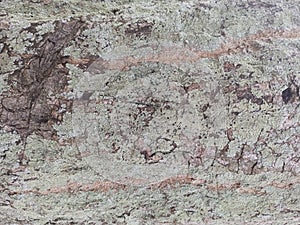 Dark Eclogite Stone Texture Geological Background