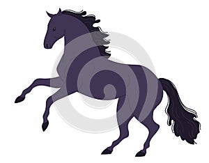 Dark energetic horse with its front hooves raised on its hind legs