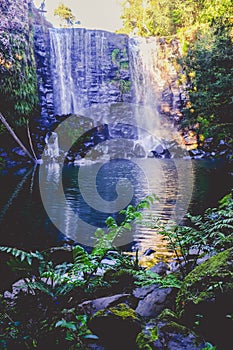 Dark ethereal magical forest - Wairoa / Te Wairere waterfall in