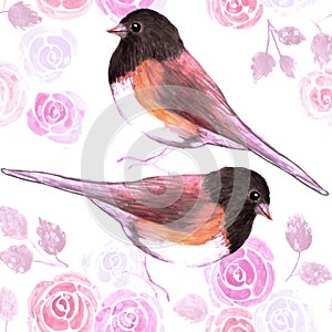 Dark eyed Juncos and pink roses bird seamless watercolor birds painting background