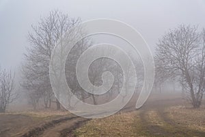 Dark foggy autumn countriside view in morning