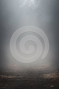 dark foggy and cloudy path. neutral rural background.