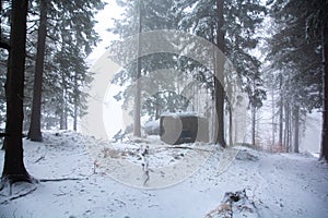 Dark and foggy forest with a bunker in a borderalnd. Orlicke hory, Czechia