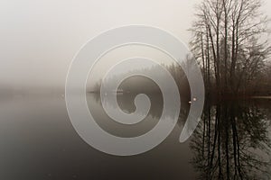 Dark Foggy and Misty Morning at Shawnigan Lake Brish Columbia photo