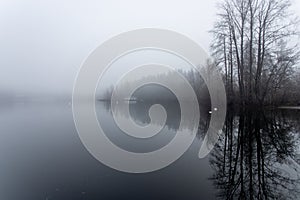 Dark Foggy and Misty Morning at Shawnigan Lake Brish Columbia photo