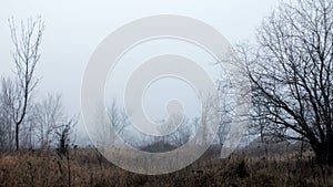 Dark Foggy Moor on a Cloudy Day