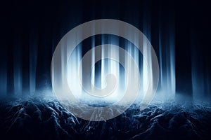 Dark forest with roots