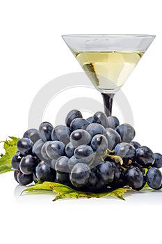 Dark grapes and glass of light wine