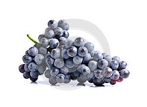 Dark grapes, Isolated on white background