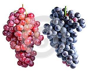 Dark grapes and red grapes isolated on white background