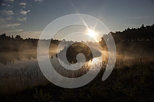 Dark grassy foggy polish lake