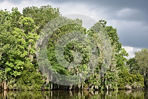 Dark Gray Storm Clouds Over the Bayou