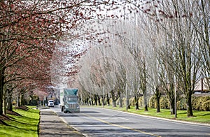 Dark green bonnet big rig semi truck transporting cargo in dry van semi trailer driving on the local city street road with spring