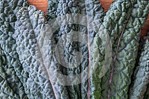 Dark green, crinkly, Lacinato Kale leaves on a wood table, part of healthy lifestyle