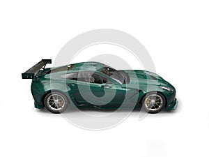 Dark green endurance race car - side view