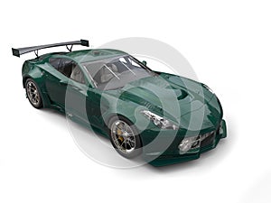 Dark green endurance race car - top view