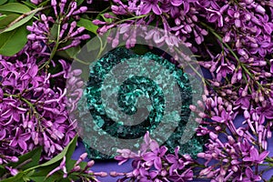 Dark green fibrous Malachite cluster from Shaba Province, Zaire, surrounded by purple lilac flower.