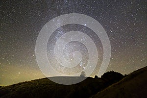 Dark green grassy hills, lonely tree and bushes at night under beautiful dark blue summer starry sky