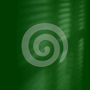 Dark Green Light Ambient Abstract Background