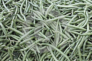 Dark Green String Beans