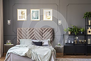 Dark grey bedroom interior with wainscoting on the wall, king-size bed with soft bedhead, three posters and metal rack with plant photo