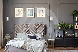 Dark grey bedroom interior with wainscoting on the wall, king-size bed with soft bedhead, three posters and metal rack with plant
