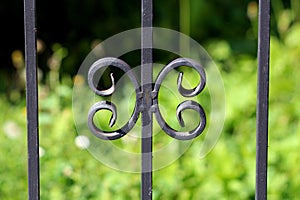 Dark grey vintage retro wrought iron family house fence decorative custom made ornament on green grass background