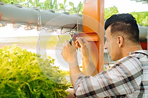 Dark-haired agriculturist using screwdriver approving light system