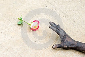 Dark hands gardening people with roses