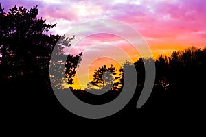 Dark heather landscape in the forest with nacreous clouds that color the sky, a rare weather phenomenon