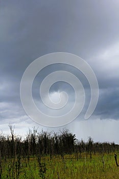 downdraft pouring rain