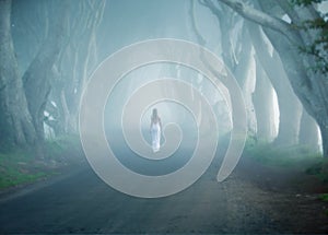 Dark Hedges, Ireland, fogy tree lined road, woman walk away in white long dress