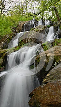 Dark Hollow Falls - Shenandoah National Park