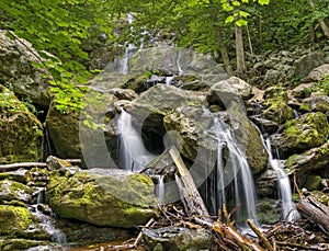 Dark Hollow Falls, Shenandoah National Park